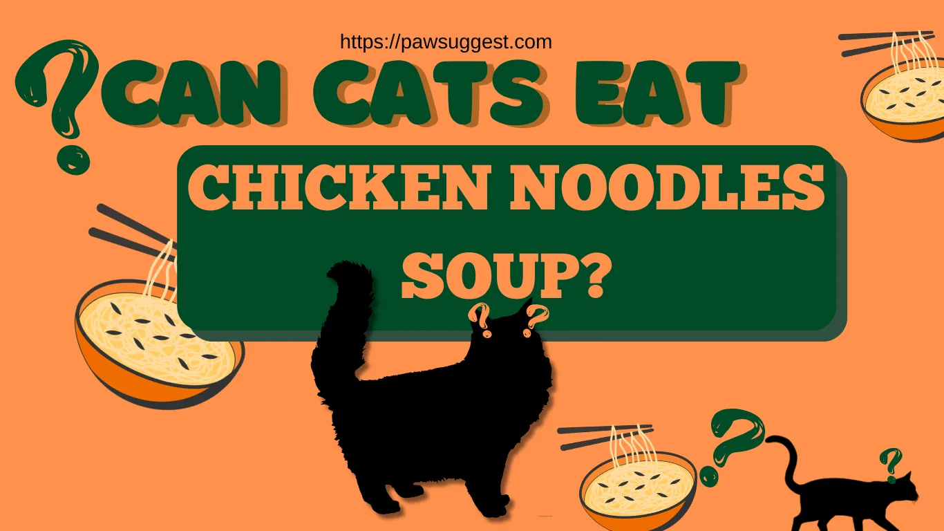 Can Cats Eat Chicken Noodle Soup?