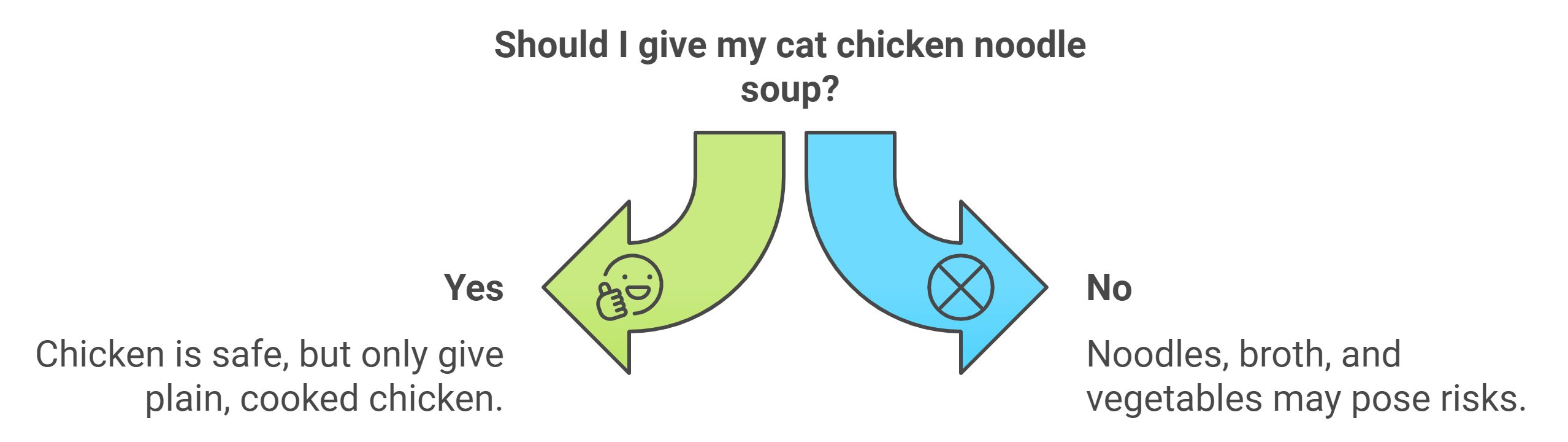 Can Cats Eat Chicken Noodle Soup?