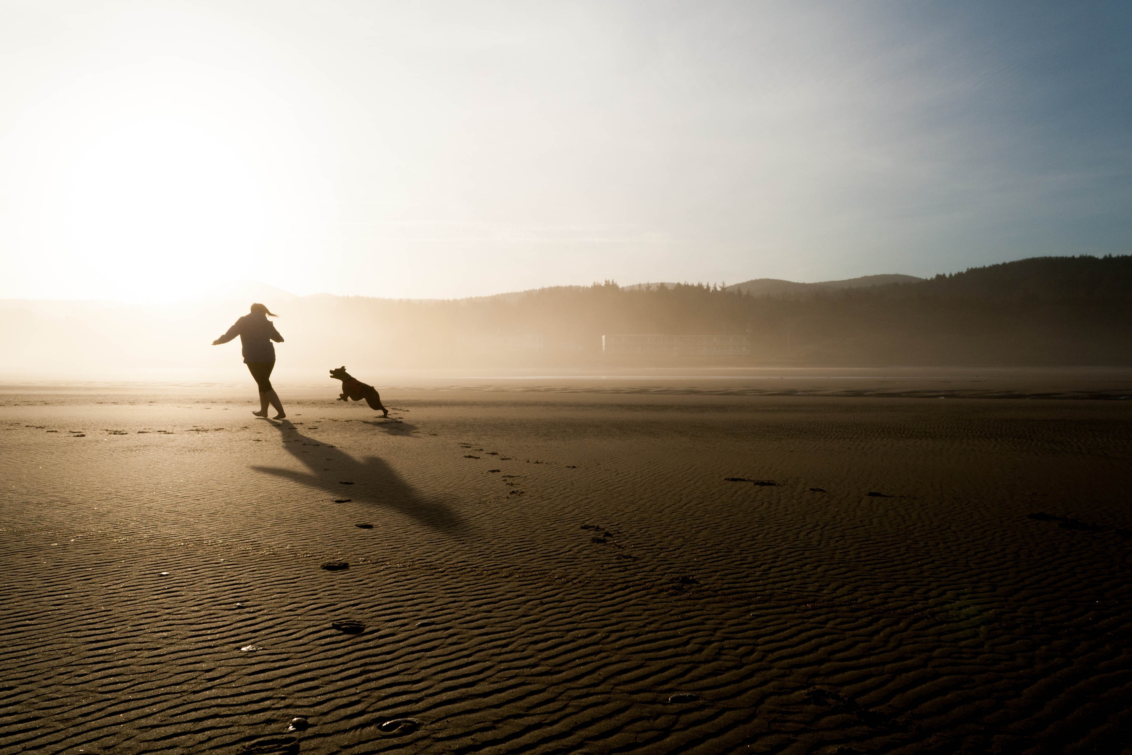 pet with pet owner on beach