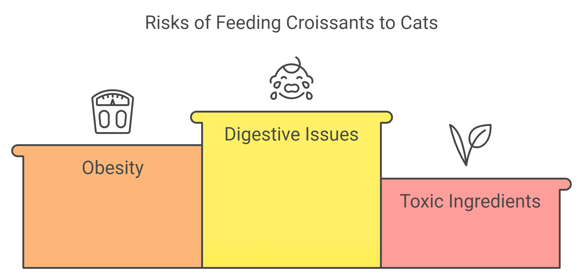 Why Cats aren’t allowed to Eat Croissants?