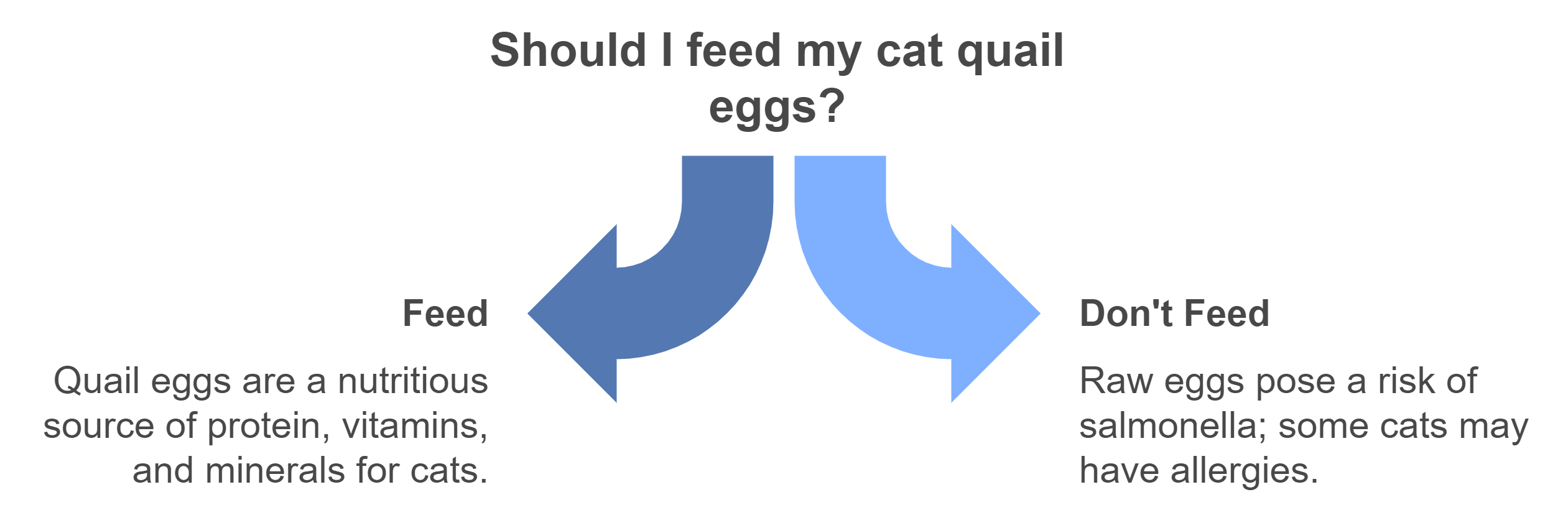 Quail Eggs for Cats: The Surprising Superfood Your Pet Needs?