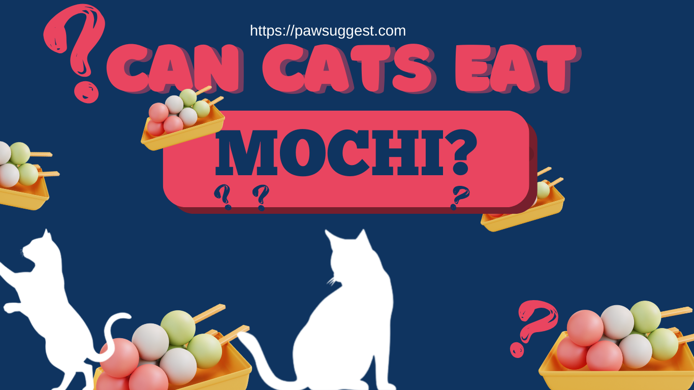 Can Cats Eat Mochi?