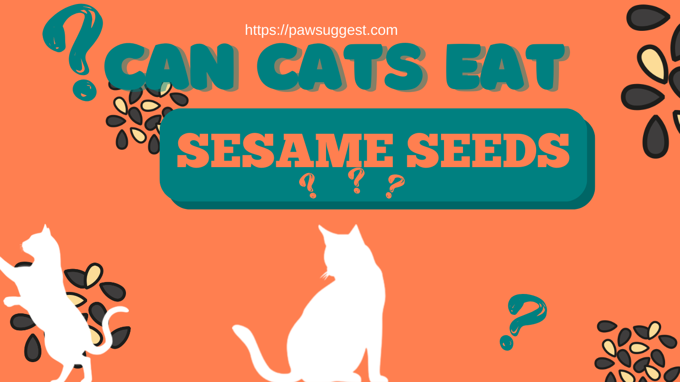 Can Cats Eat Sesame Seeds?