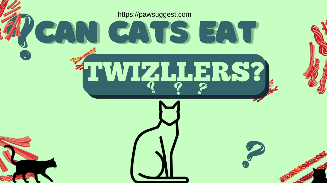 Can Cats Eat Twizzlers?