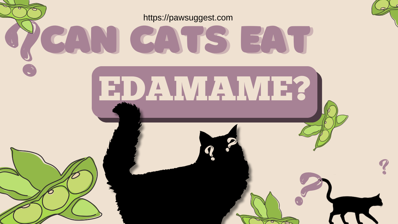 Can Cats Eat Edamame?