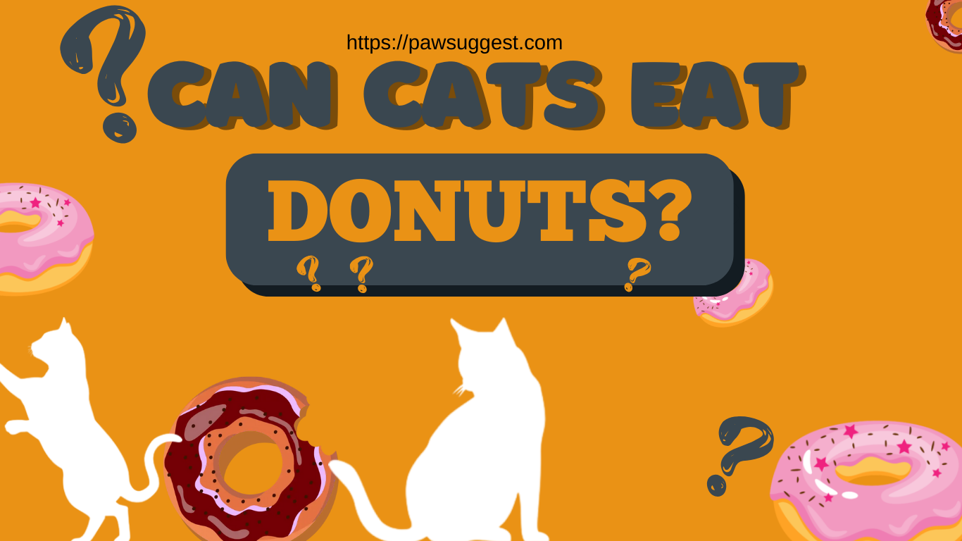 Can Cats Eat Donuts?