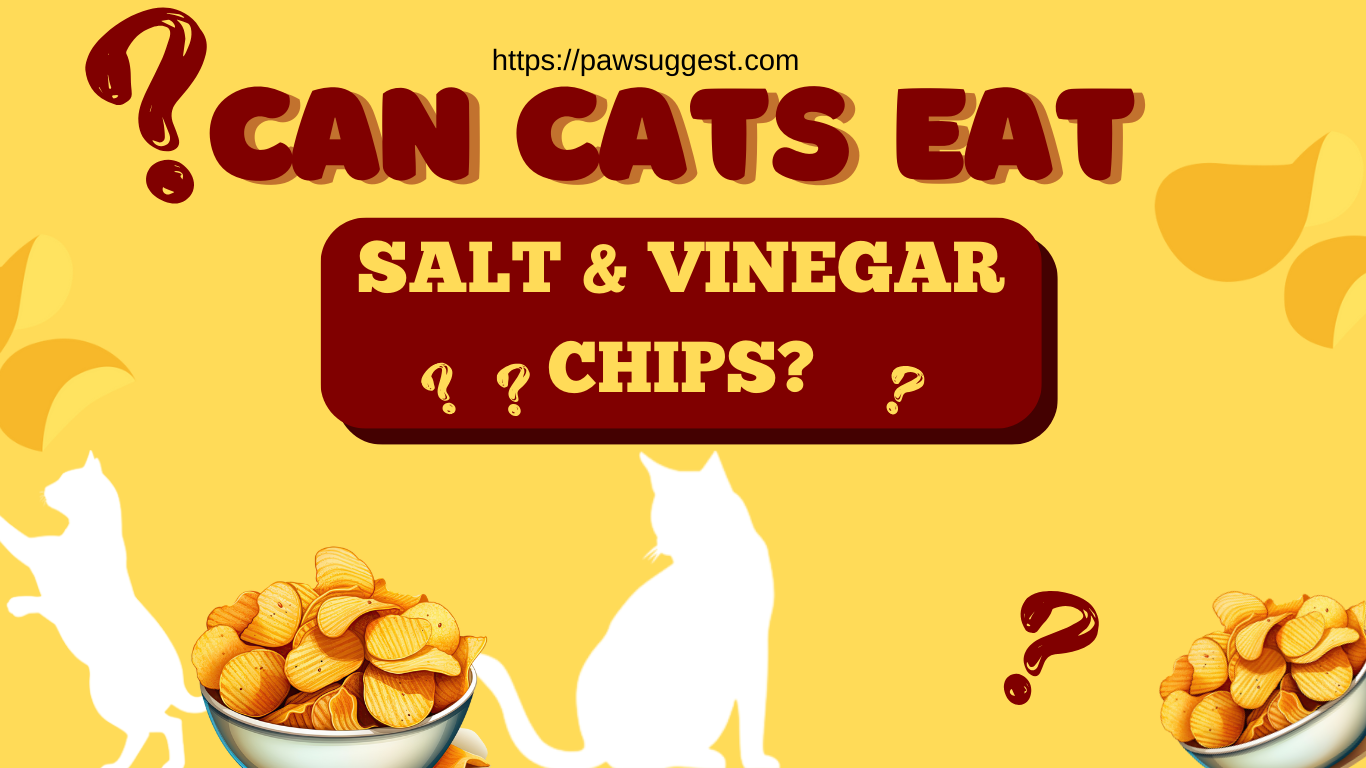 Can Cats Eat Salt and Vinegar Chips?