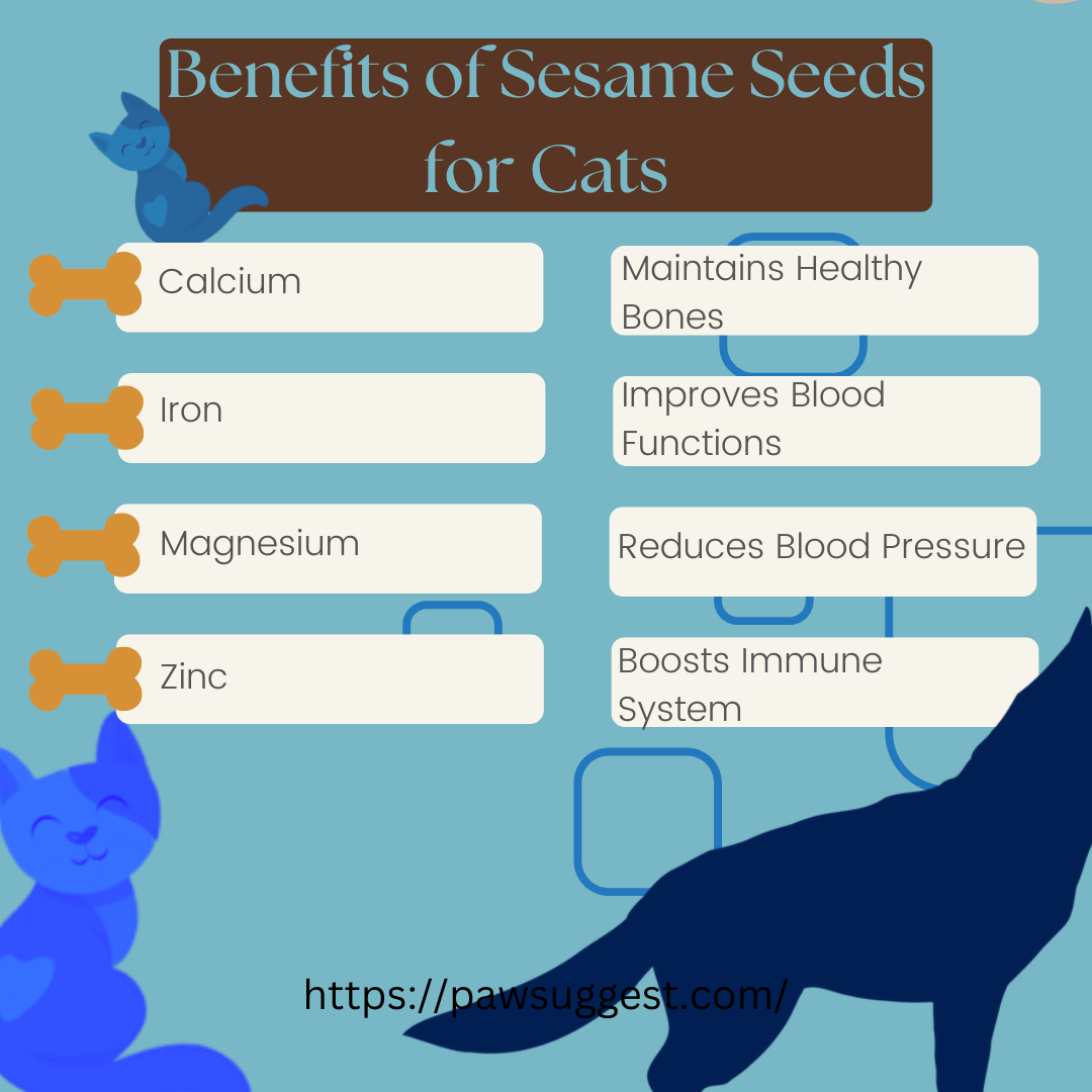 Benefits Of Sesame Seed For Cats