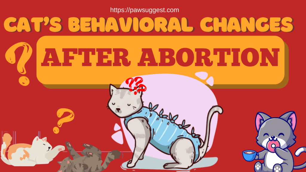 Why Cats Change After Abortion: Behavioral Insights!