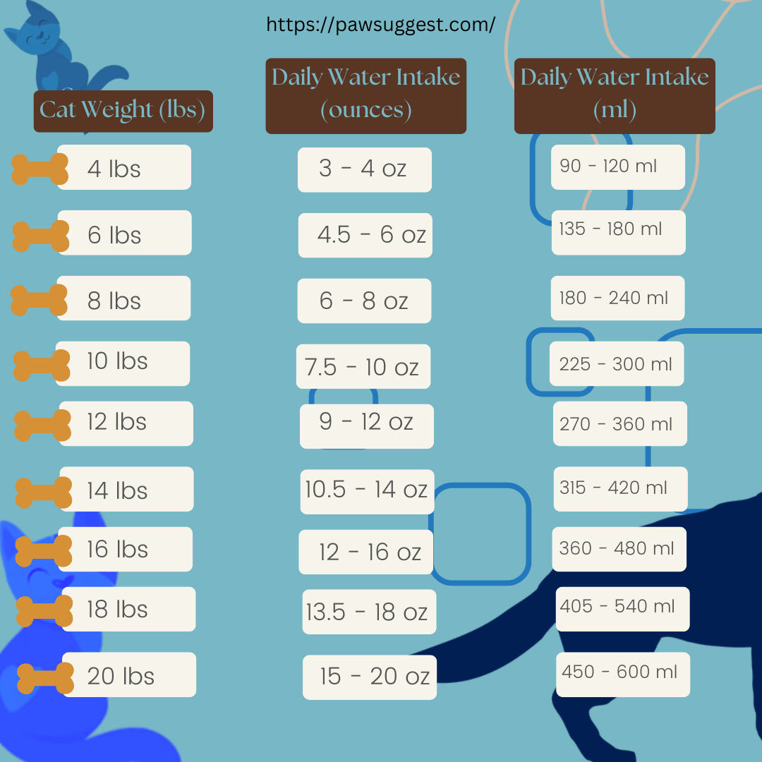 How Much Water Should a Cat Drink?