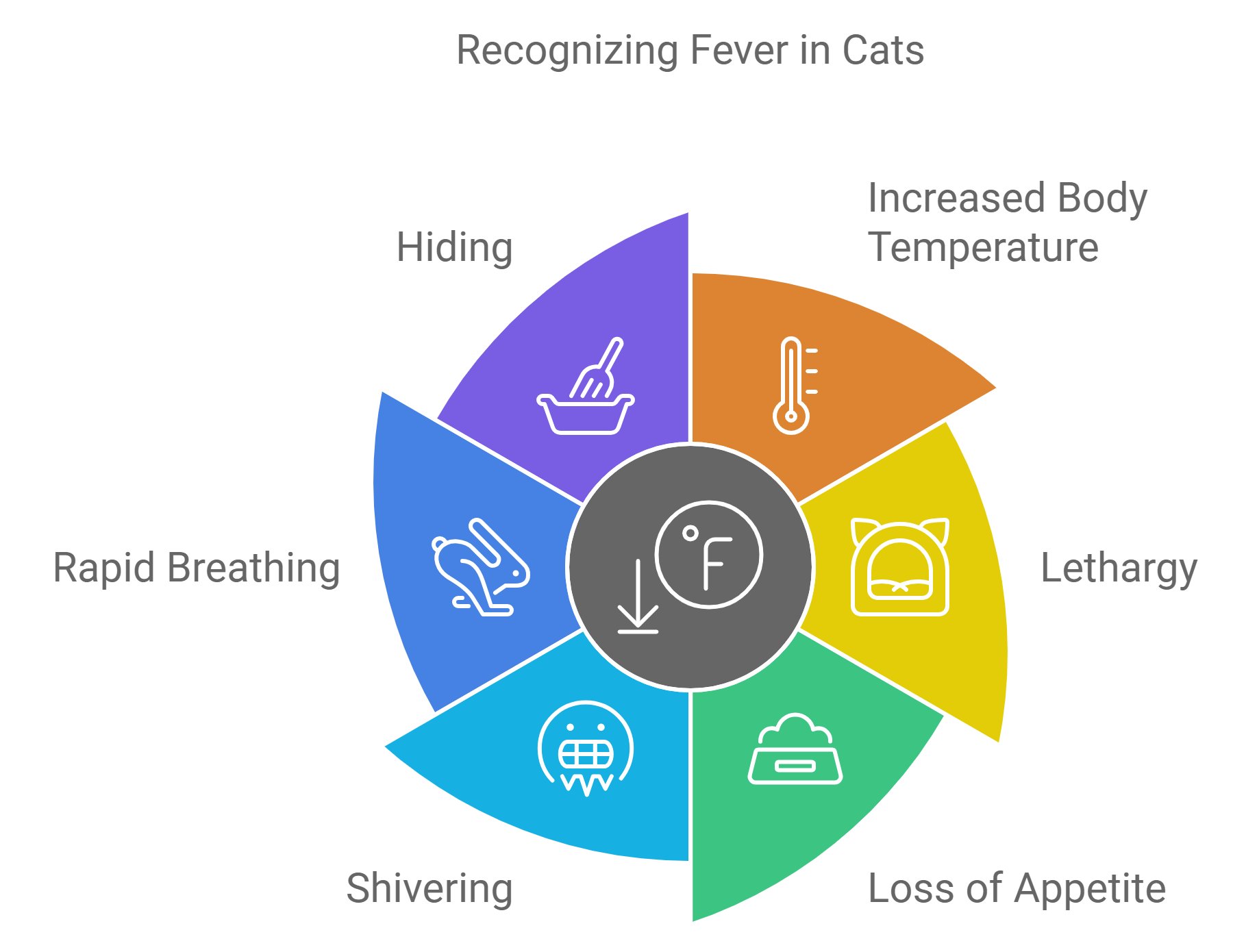 Signs of Fever in Cats