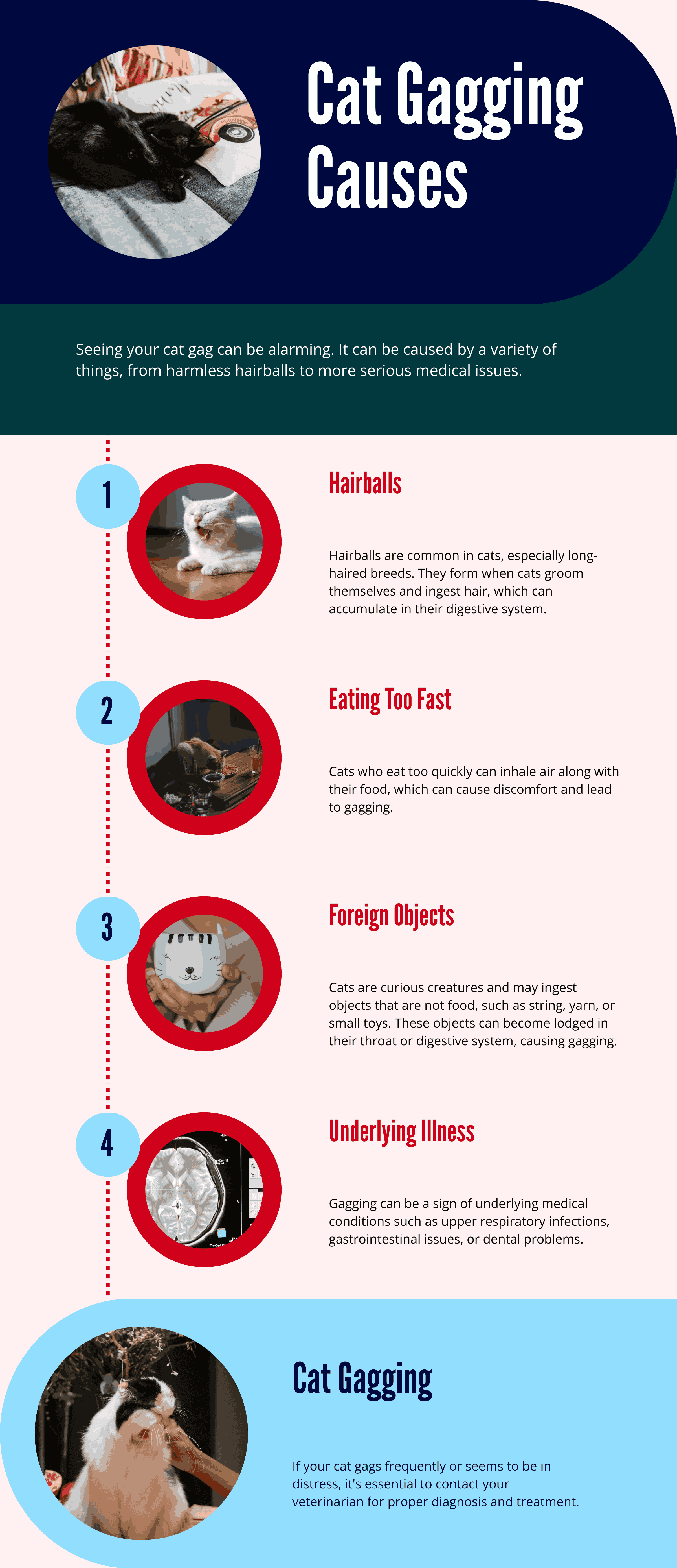 Potential Reasons Why Your Cat is Gagging