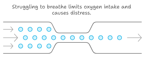 what heavy breathing leads to in cats?