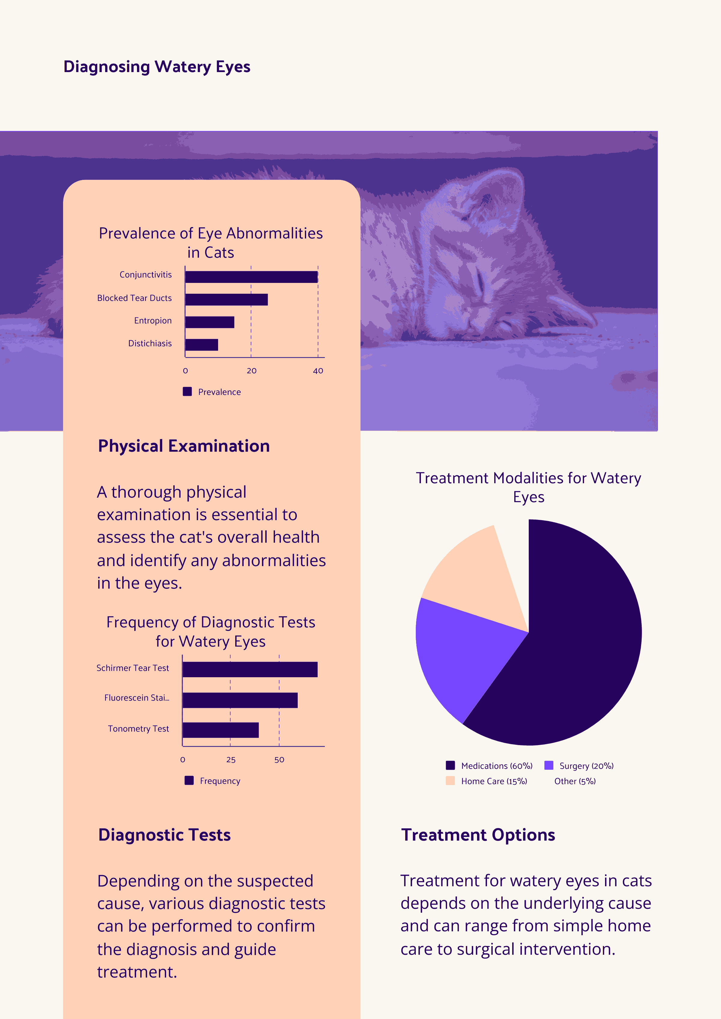 Diagnosis of Watery Eyes in Cats