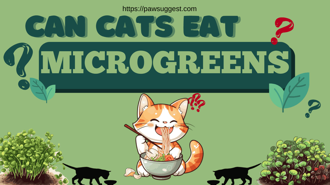 can cats eat microgreens