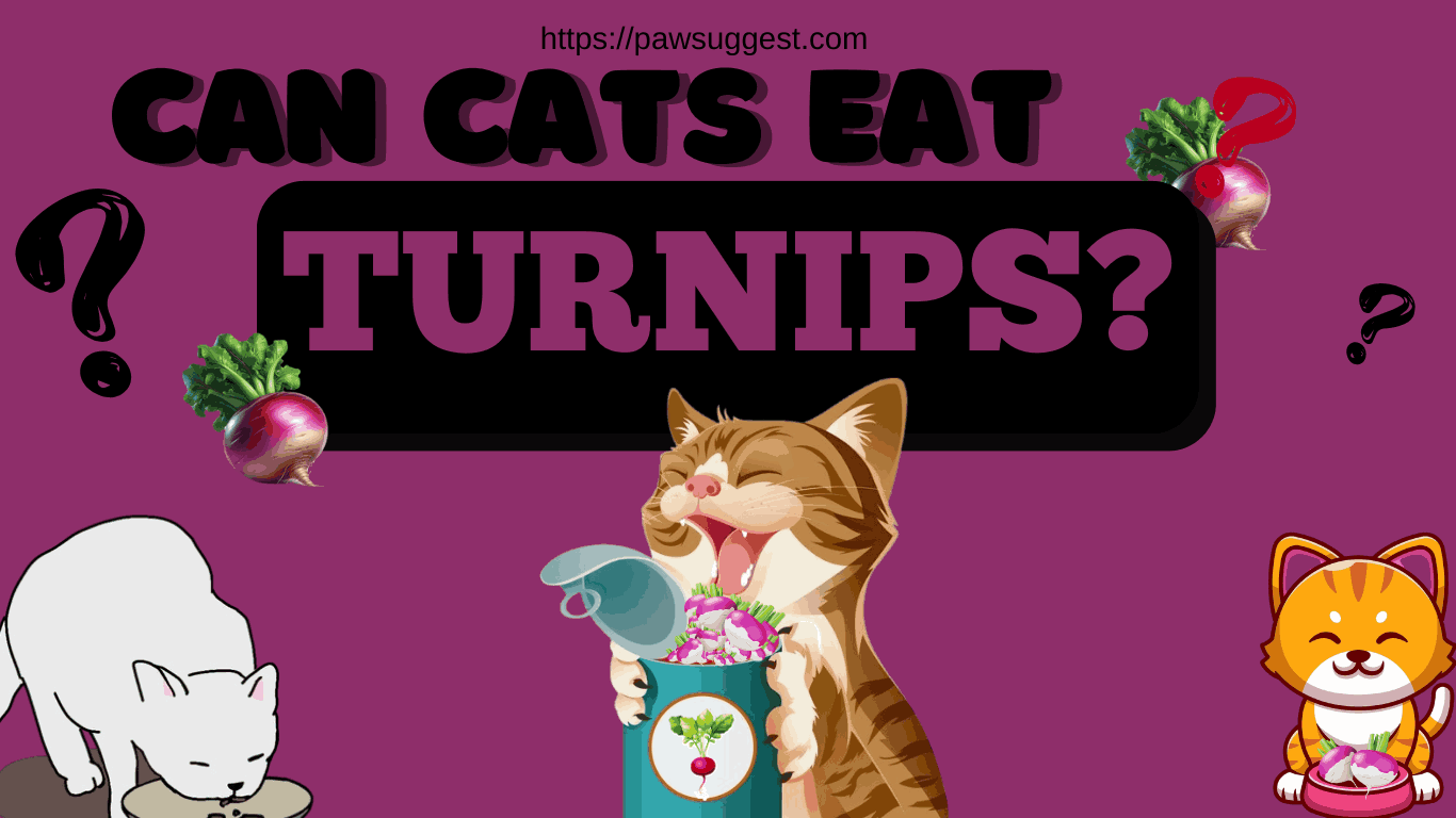 Can Cats Eat Turnips?