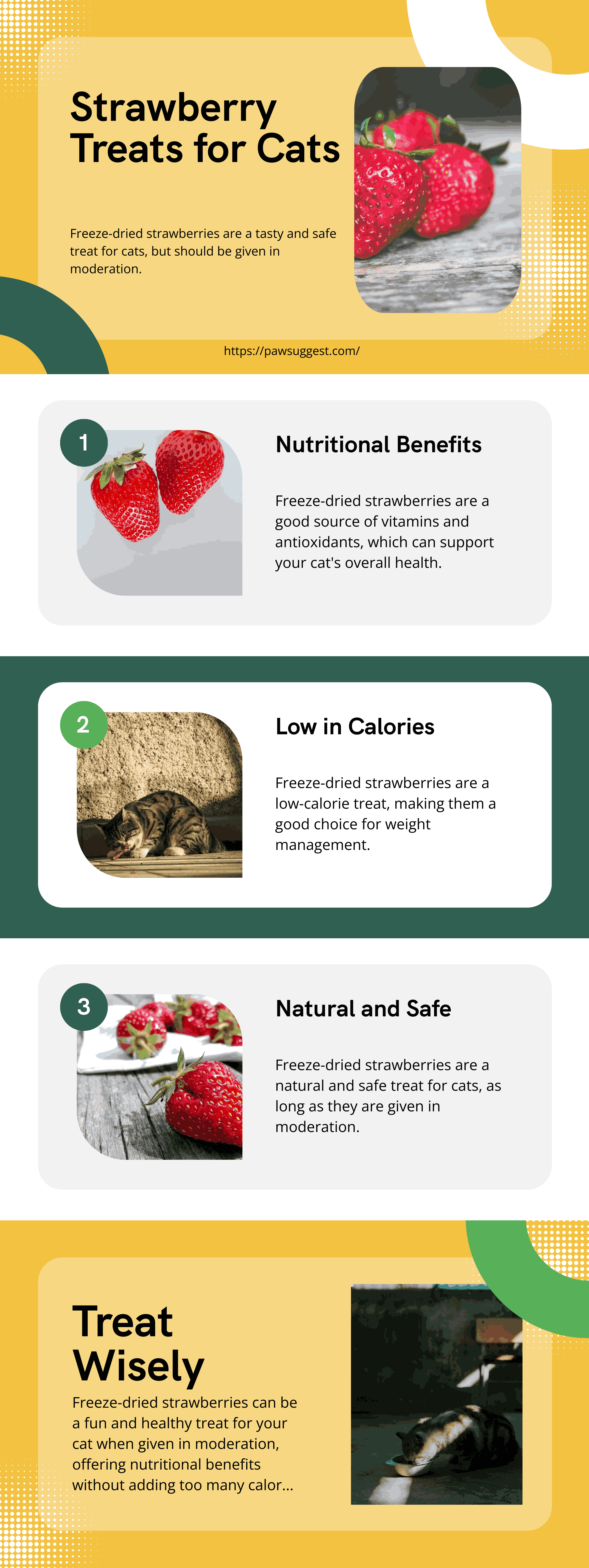 Nutritional Value of freeze dried strawberries for Cats