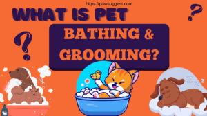 Pet Bathing and Grooming
