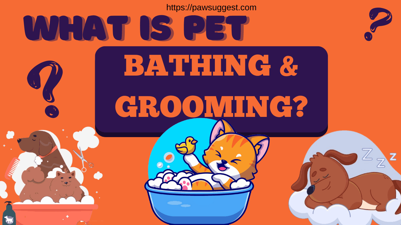 Pet Bathing and Grooming
