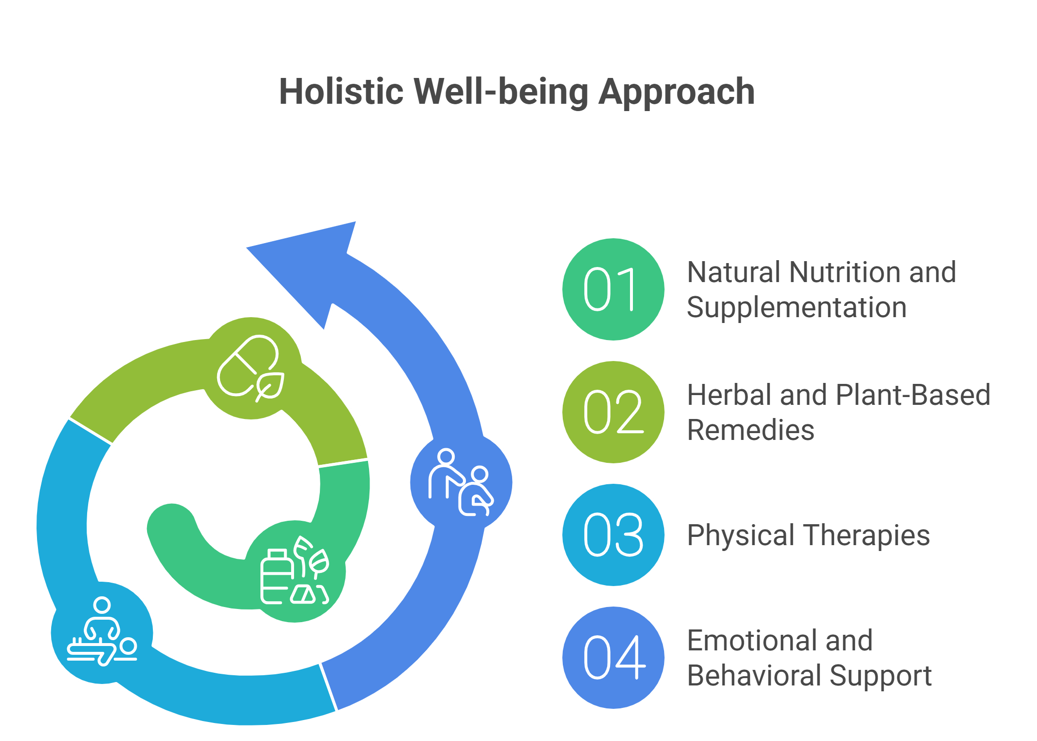 Understanding Holistic Pet Care